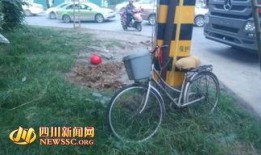 成都刘先生最新爆料,揭秘某事件背后惊人真相